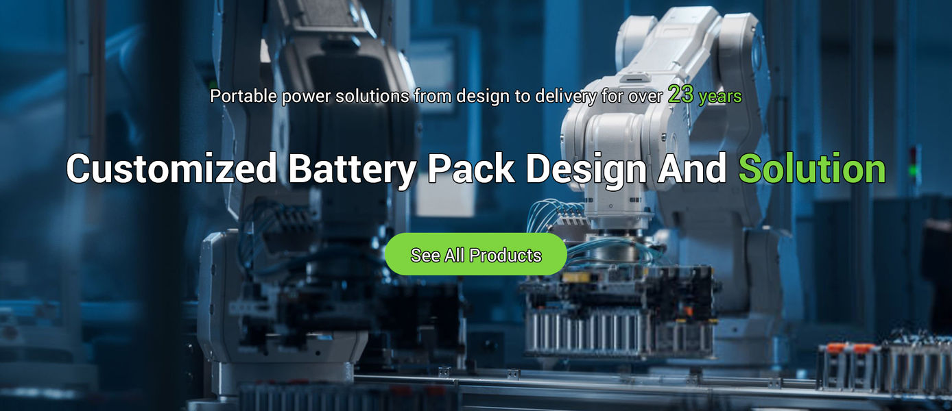 Lifepo4 Battery Pack