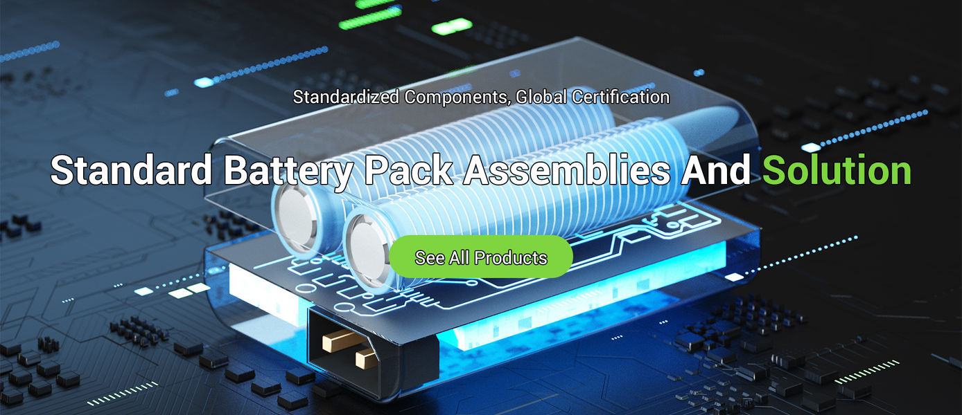 Lithium Ion Battery Pack