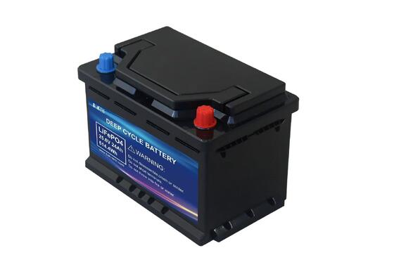 25.6V 20Ah LiFePO4 Battery Pack 32700 8S4P Long Cycle Life BAKTH ZY-ED-3-E0359 with Smart BMS