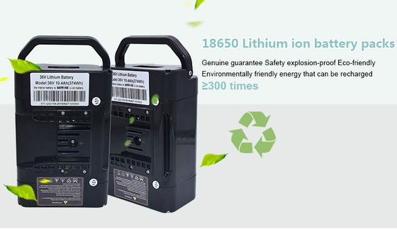 24V 36V 48V Rechargeable Lifepo4 Battery Pack Lithium Battery Pack For E Bike